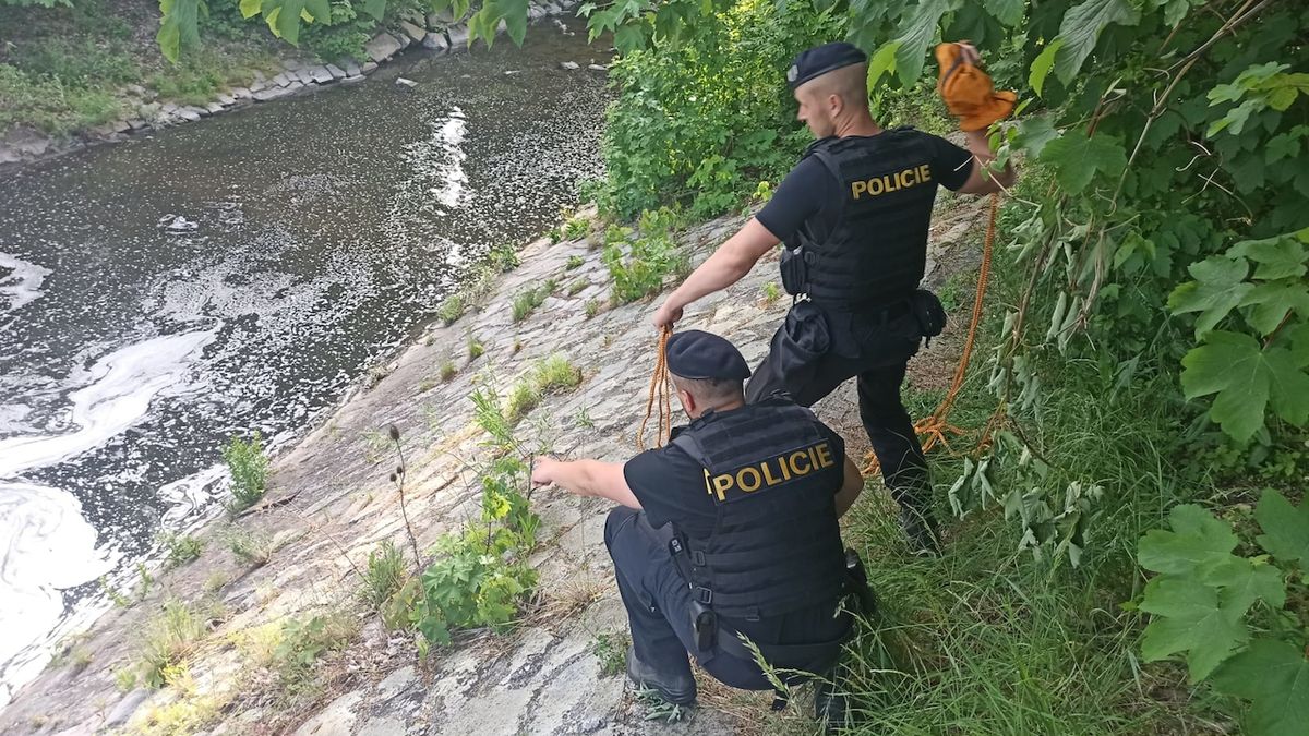 Ženy v Novém Jičíně se málem utopily. Policisté je z řeky vytáhli opilé
